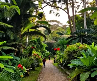 8 melhores parques e trilhas em Natal: descubra os segredos naturais 8 melhores parques e trilhas em Natal: descubra os segredos naturais
