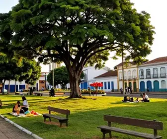 Descubra a Praça da Árvore de Mirassol em Natal – RN: Um Oasis de Lazer e Cultura Descubra a Praça da Árvore de Mirassol em Natal - RN: Um Oasis de Lazer e Cultura