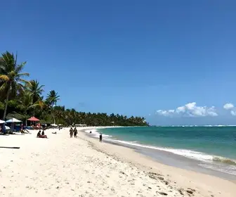 Descubra a Praia do Forte em Natal: Um Paraíso ao Lado do Mar