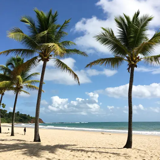 Descubra a Praia dos Artistas