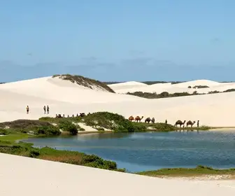 Descubra as Maravilhas das Dunas de Genipabu em Natal - RN
