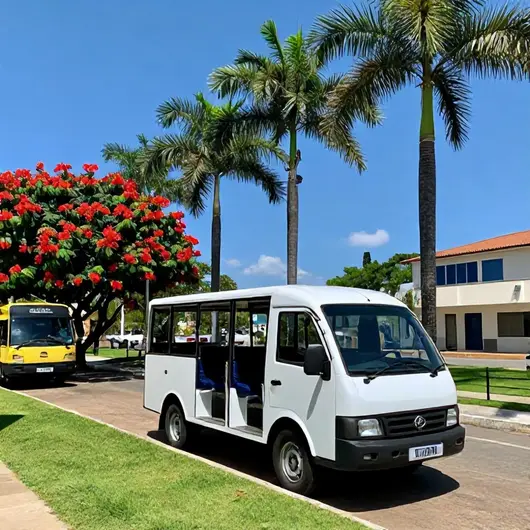 Descubra Natal Translados