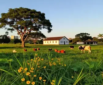 Descubra o Turismo Rural nas Proximidades de Natal