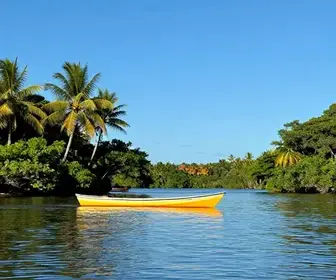 Explorando o Rio Potengi: O Melhor Passeio de Catamarã em Natal Explorando o Rio Potengi: O Melhor Passeio de Catamarã em Natal