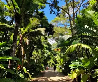 Explore a Trilha Perobinha: Um Paraíso Natural em Natal – RN Explore a Trilha Perobinha: Um Paraíso Natural em Natal - RN