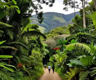 Explore a Trilha Ubaia-Doce em Natal: Aventura e Natureza Explore a Trilha Ubaia-Doce em Natal: Aventura e Natureza