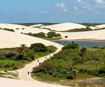 Explore o Parque Estadual das Dunas: Natureza e Aventura em Natal Explore o Parque Estadual das Dunas: Natureza e Aventura em Natal