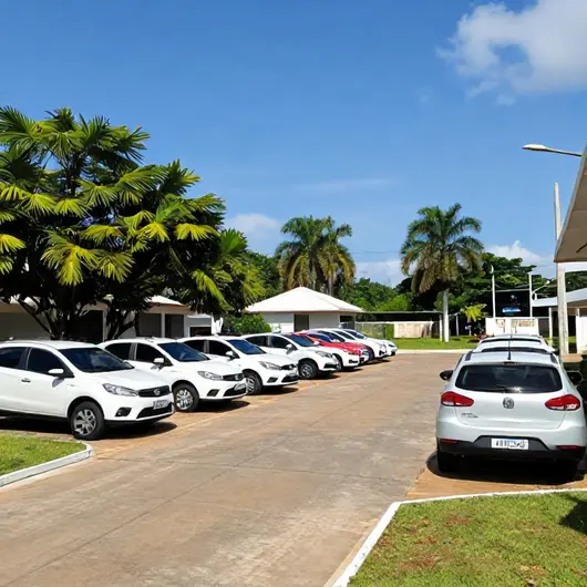 Transnatal Transportes Transnatal Transportes